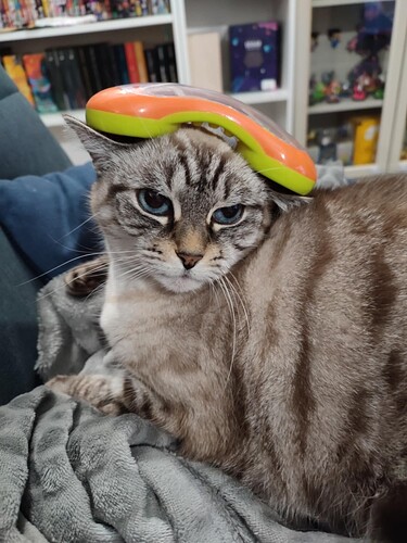 bafkreiaatdawgkdoyirs7h64kphttobyczf7fpz2rfpisg5iohu7aphtay