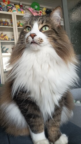 bafkreid2ze46y3zu4s6gpkbyzesvl5j4qbpsqbkholbkp2yz54ulzxirem